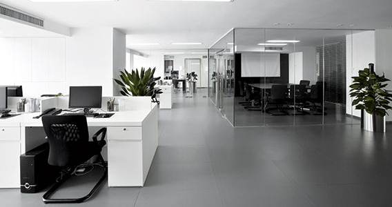 Office Design