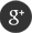 Google+ logo